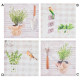 Cadre toile Plante dans pot - 28 x 28 cm