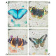 Cadre toile Papillon - 40 x 30 cm