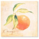 Tableau toile Fruits 