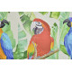 Tableau toile Perroquet et Toucan - 70 x 50 cm