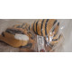 Doudou Peluche Tigre