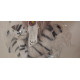 Doudou Peluche Tigre blanc