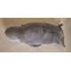 Peluche Dauphin gris - 65 cm